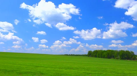 Green meadow Video stock 5502987