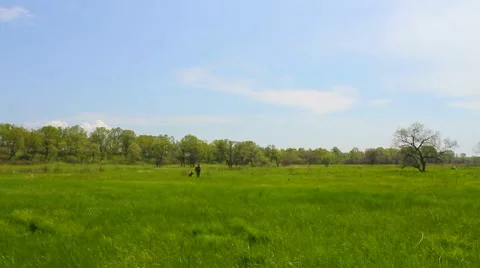 Green meadow Stock Footage 8824858