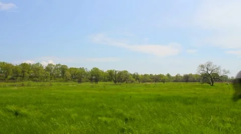 Green meadow Stock Footage 8824867