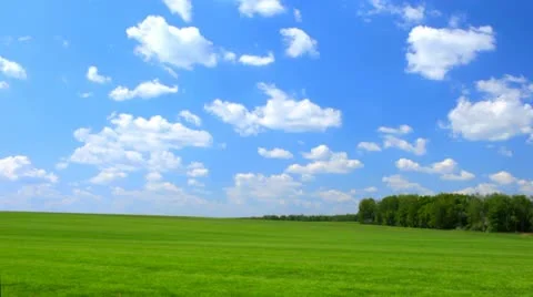 Green meadow Stock-Footage 22114514