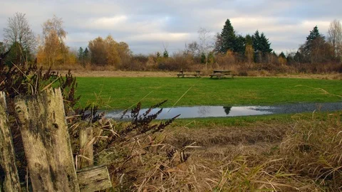 Green Meadow Stock Footage 120379059