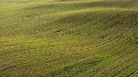 Green meadow Stockbeeldmateriaal 156805775