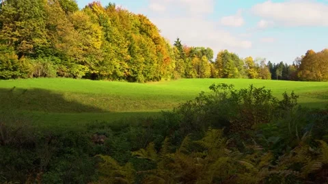 Green meadow in the foreground Video stock 166398430
