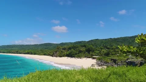 Green meadow grass against the background of the blue sea. Stock Footage 194102952