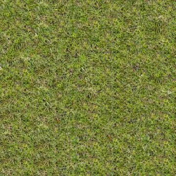 Green Meadow Grass. Seamless Tileable Texture. Foto stock