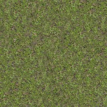Green Meadow Grass. Seamless Tileable Texture. Foto stock