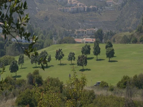 Green Meadow With Green Trees Behind The Road at Malibu , Los Angeles CA Vídeos de archivo 80893969