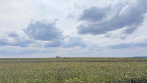 Green Meadow Horizon Dramatic Cloudy Sky Vast Landscape Fotos de archivo