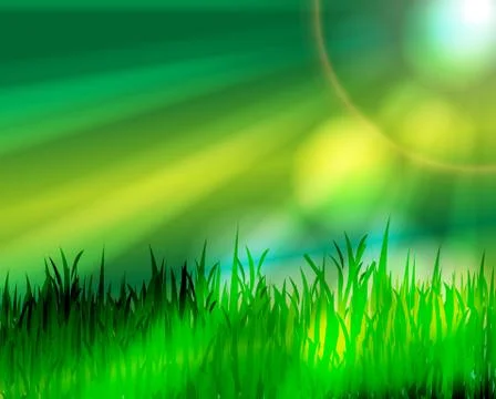 Green meadow Stock Illustration