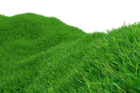 Green meadow in mountain. Composition of nature. 3d rendering Illustrazione stock