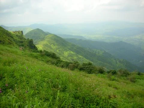 A green meadow on the mountain Stock Photos