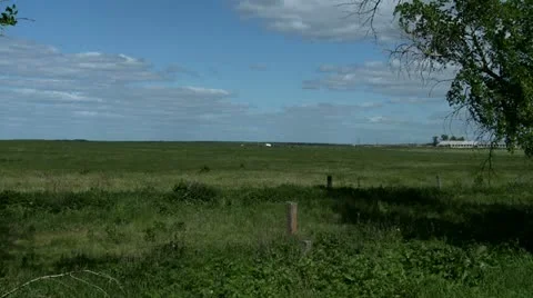 Green meadow next to farm Stock Footage