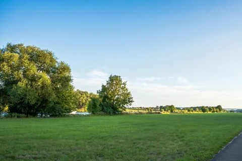 Green meadow with old willow trees and a paved path along the edge under a clear Stock Photos