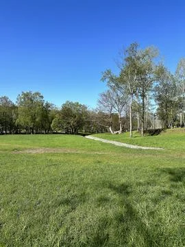Green meadow in the park against the backdrop of a deciduous forest and a clear Stock Photos