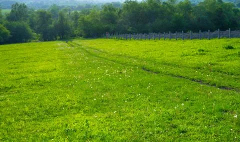 Green meadow path leading down Stock Photos