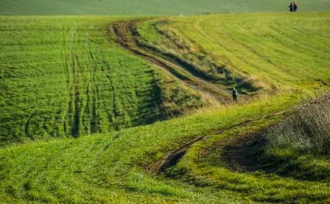 Green Meadow path Stock Photos