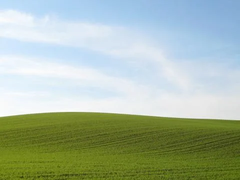 Green Meadow Stock Photos