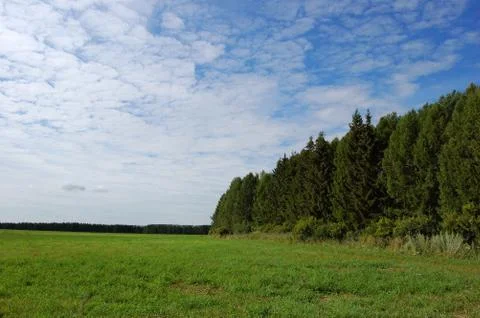 Green meadow Stock Photos