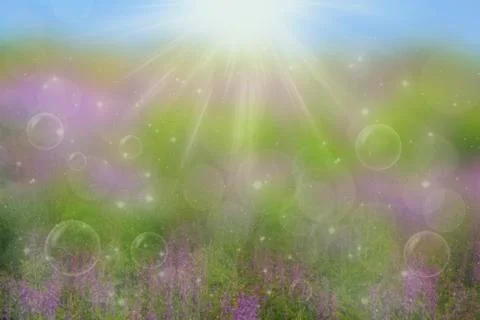 Green meadow Stock Photos