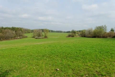 Green meadow Stock Photos