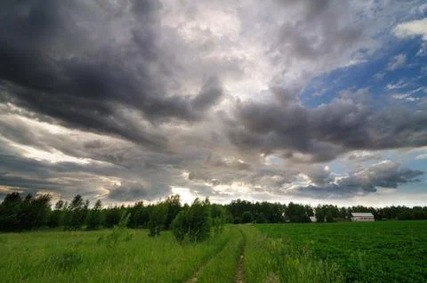 Green meadow Stock Photos