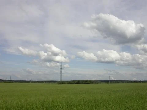 Green meadow Stock Photos