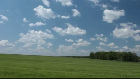 Green meadow  RAW Vidéo 10911678