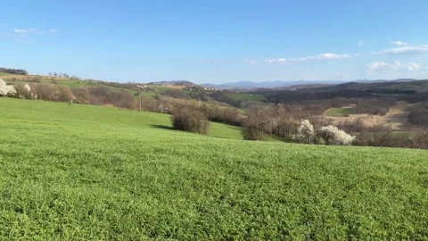Green meadow rolling hills under blue sky clouds Stock Footage 333532032