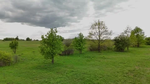 Green meadow with scattered trees under cloudy spring sky – drone view Stock Footage 317244459