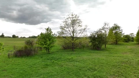 Green meadow with scattered trees under cloudy spring sky – drone view Stock Footage 317244625