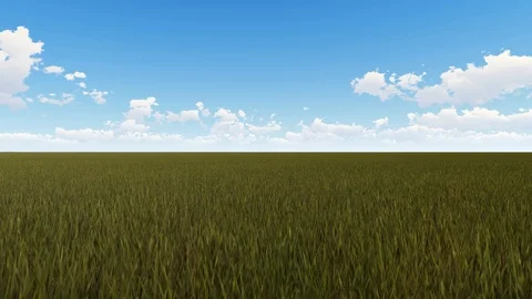 Green Meadow with sky and Clouds, 3D Rendering, 4k Stock Footage 120412514