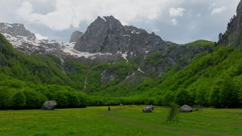 Green meadow at spring, huge mountain peak with a snow Stock Footage 250001358