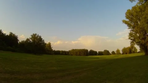 Green meadow in a summer forest Stock Footage 67611599