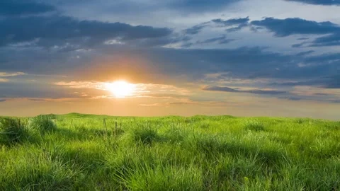 Green meadow on a sunset time lapse scene Stock Footage 276167921