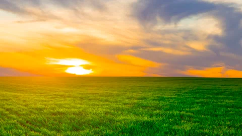 Green meadow at the sunset time lapse scene 스톡 동영상 295925837