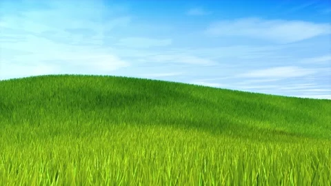 Green meadow with tall grass and blue sky with clouds Stock Footage 248768070