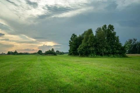 Green meadow with trees and cloudy evening sky Stock-Fotos