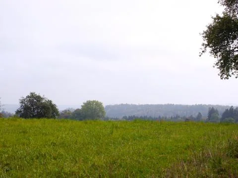 A green meadow trees and covered sky and a forest in the background in German Stock Photos
