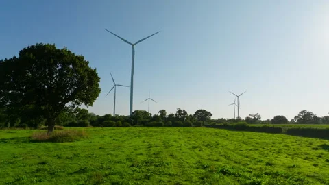Green Meadow with Trees and Wind Turbines in the Countryside Stock Footage 316235326