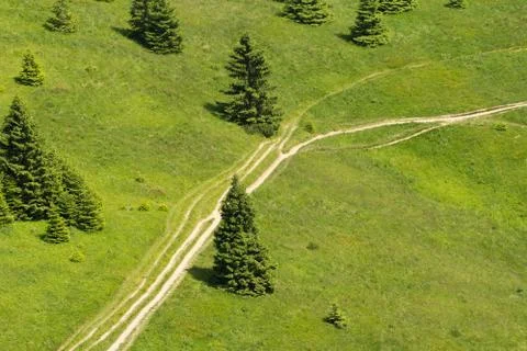 Green meadow with trees bird view Stock Photos