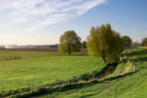 Green meadow with trees Stock Photos