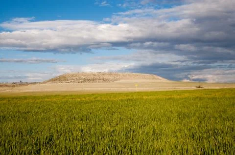 Green meadow under the blue sky with clouds. Stock Photos
