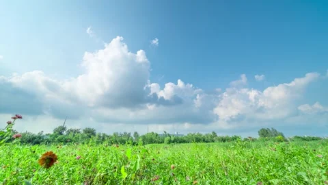 Green Meadow Under A Bright Blue Sky With Fluffy White Clouds Stock Footage 342245294