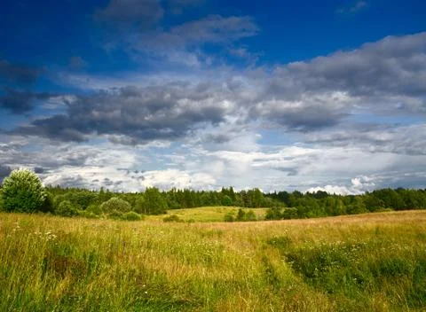 Green meadow under dramatic sky landscape Foto stock
