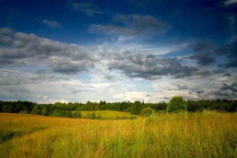 Green meadow under dramatic sky landscape Stock Photos