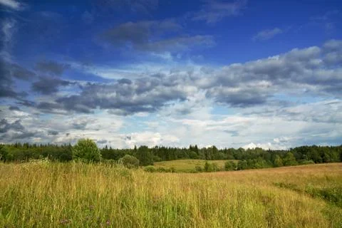 Green meadow under dramatic sky landscape Stock Photos