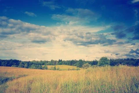Green meadow under dramatic sky landscape 스톡 사진