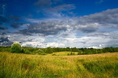 Green meadow under dramatic sky landscape Stock Photos