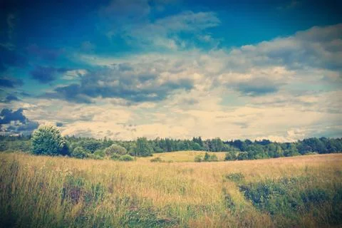 Green meadow under dramatic sky landscape Stock Photos