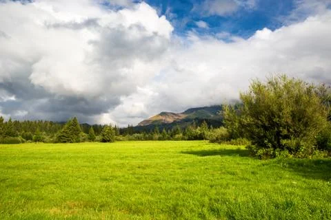 Green meadow under sky with clouds Stock Photos
